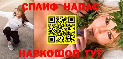 мдпв Кандалакша